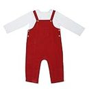 haus & kinder 100% Cotton Baby Boy Dungaree with Full Sleeve Tshirt for 6-9 Months (Red)