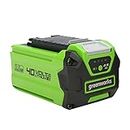 Greenworks Batterie G40B25 (batterie puissante rechargeable Li-Ion 40V 2,5 Ah adaptée à tous les appareils de la série 40V Greenworks Tools)