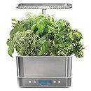 AeroGarden Harvest Elite Indoor Garden Hydroponic System with LED Grow Light and Herb Kit, Holds up to 6 Pods, Stainless
