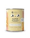 Nutra Organics Super Tummy (200g, Gut Repair & Bowel Support)