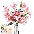 SNAIL GARDEN 12 Heads Artifical Lily Flowers, Long Stem Artificial Lilies with 9 Heads Full Bloom Lily & 3 Lily Buds-Faux Tiger Lily Bouquets for Home Hotel Flower Arrangement Party Decor(Pink White)