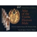 National Library Of Medicine Atlas Of The Visible Human Male: Reverse Engineering Of The Human Body: Reverse Engineering Of The Human Body