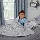 Dreamscene Star Teddy Fleece Weighted Blanket, Soft Fluffy Quilted Throw, Silver Grey, 100 x 150cm - 3kg