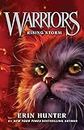 Rising Storm: FOUR CLANS. ONE DESTINY.: Book 4 (Warrior Cats)