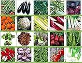 Viridis Hortus - Viridis Hortus - 20 Multi-Variety Vegetable Seeds Pack - Grow Your Own Vegetables - High Yield Seeds for Growing Veggies at Home - Perfect for Outdoor/Indoor Growing