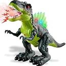 TOEY PLAY T-Rex Dinosaurier Figuren, Dinosaurier Spielzeug mit Sprühen, Gehen, Lichtern und Brüllen, Geschenke für Kinder Jungen Mädchen 3 4 5 Jahre