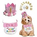 Dog Birthday Hat and Bandana, Pet Cat Dog Birthday Crown Hat and Scarf with 0-9 Figures Charms Party Accessories for Small Medium Puppy Kitten (A Pink)