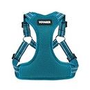 Best Pet Supplies Voyager Step-In Flex Dog Harness - All Weather Mesh, Step In Adjustable Harness for Small and Medium Dogs Turquoise, Small