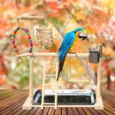 Pet Parrot Play Stand Pappagalli Bird Playground Uccellino Perch Gym Regno Unito