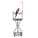 EBEYT 72" Parrot Stand Large Bird Playstand Metal | 72 H x 18.3 W x 18.3 D in | Wayfair CW12F0399