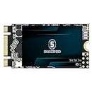 SHARKSPEED SSD M.2 2242 64GB Disco Duro Interno de Estado sólido, SATA III 42mm NGFF 3D NAND (64GB, M.2 2242)