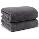 ORIGHTY Bath Towels Set Pack of 2(27’’ x 54’’) - Soft Feel Microfiber Bath Towels for Bathroom, Highly Absorbent Bath Sheet, Quick Drying Shower Towels, Fluffy Towel for Gym, Beach, SPA - Gery