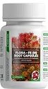 AquaNature Flora Fe (III) Root Capsules Slow Releasing Nutrients for Freshwater Planted Aquaria (30 Tab)