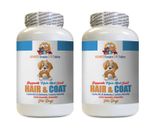 dog hair and skin supplements - DOG HAIR AND COAT HEALTH - dog immune 2B