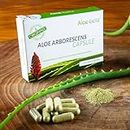 ALOEBETA Aloe Arborescens Kapseln Bio - 100% Bio Aloe Vera Kapseln - Made in Italy - BIO Nahrungsergänzungsmittel - Keine Süßstoffe oder Konservierungsstoffe, keine GVO - 30 Kapseln Pakete