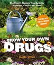 Cultiva tus propios medicamentos: las 100 mejores plantas para cultivar o tratar 