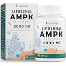Liposomal AMPK Activator 2000 mg - High Bioavailability Berberine HCL,DIM,Milk Thistle,and Cinnamon Bark Capsule 6-in-1 AMPK Supplements for Antioxidant Support and Cellular Regulation, 60 Softgels