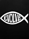 Evolve Fish Evolution (2 Pack) Vinyl Decal Sticker|White|Cars Trucks Vans SUV Laptops Wall Art|5" X 2.5"|CGS815
