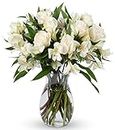 BENCHMARK BOUQUETS | Elegance Roses Bouquet, Prime Delivery, Free Vase, Farm Direct Fresh Flowers, Gift for Anniversary, Birthday, Congratulations, Get Well, Home Décor, Sympathy, Thanksgiving