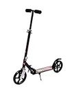 IRIS Scooter for Adult Youth Kids - Foldable Adjustable Portable Ultra-Lightweight | Teen Kick Scooter with Shoulder Strap, Birthday Gifts for Kids 3 Years Old and Above | Support 220 lbs