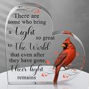 Red Cardinal Gifts Sympathy Gifts Memorial Gift for Loss of Loved One Sympathy D