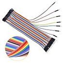 Ds Robotics® Male To Female 40pin Dupont Jumper Wire 20cm Compatible with Arduino and Raspberry Pi