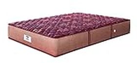 peps Springkoil Bonnell 8-inch Queen Size Spring Mattress (Maroon, 78x60x08) with Two Free Pillow