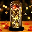 Beauty and The Beast Rose Enchanted Rose in Glass Dome Red Rose with LED Lights Romantic Flowers Gift Eternal Rose for Valentines Day, Mothers Day Wedding Anniversary Christmas