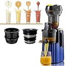 Powerful Masticating Juicer, 43RPM Slow Cold Press Juicer Machines with 82mm Feeding Chute for Whole Fruits and Vegetables, for Fresh Healthy Juice, Sorbet, Ice Cream DualNet Blue