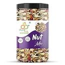 Organic Purify Mixed Dry Fruit Nut Mix Jar Pack (13+ Seeds & Dry Fruits) Trail Mix with Almonds, Cashew Nuts, Pumpkin Seeds, Kiwi, Black Currant Jar Pack Immunity Booster 400g