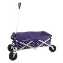 WagonsRus Limited Edition All-Terrain Collapsible Folding Utility Beach Wagon 