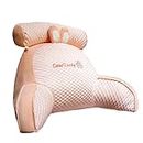 Ice Silk Cute Reading Pillow | Back Pillow | Chair Pillow | Sitting Pillow | Pillow Chair | Backrest Pillow with Arms Back Support | Bed Pillows & Positioners for Sitting in Bed