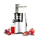 Hurom H-Aa Slow Cold Press Juicer Slow Squeeze Alpha Technology All-In-One Juicer Make Juice, Smoothies, Nut Milk, Sorbet. Easy To Clean Slow Juicer (Made In Korea), Matte Silver, 150 Watts