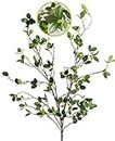 TOCHGREEN 2 PCS Artificial Greenery Stems 43.3 Inch Bulk Faux Ficus Twig Eucalytus Green Branches for Vase Filler, Artificial Ficus Branches for Home Office Garden Desk Shop Decoration