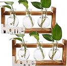 Dicunoy Set of 2 Plant Terrarium Propagation Stations, Glass Bud Bulb Vase with Wooden Stand, Air Plant Terrarium Glass with Wooden Stand, Air Planter Holder with 3 Bulb Vase for Home, Office, Garden