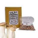 Urban Farm It - Mushroom Oyster Spawn (King - Pleurotus Ernygii), Easy to Use and Fast Growing (100ml)