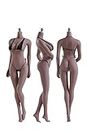 ZSMD 1/6 Scale Female Seamless Action Figures-Realistic Full Silicone Body White Skin & Stainless Steel Skeleton - 12" Super Flexible Female Figure Dolls (S10D)