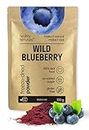 Healthy Future Jamo Wild Blueberry Powder Freeze Dried Food Perfect for Muffins Porridge Smoothies Cakes Natural Superfood No Added Sugar No Preservatives GMO-Free Gluten-Free 100 g