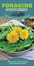Foraging in North America: The Top 12 Plants to Seek Out (Adventure Skills Guides)