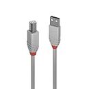 Cavo USB 2.0 Tipo A a B Anthra Line, 3m