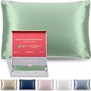 Shimmi Real Silk Pillow Cases | Luxury 30 Momme 6a Grade Mulberry Silk Pillowcase | Silk Pillowcase for Hair and Skin | Super Soft | [Queen, Sage Green]