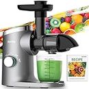 Aeitto Slow Masticating Juicer Machines, Cold Press Juicer, Juice Extractor with 2-Speed Modes, Reverse Function & Quiet Motor for Vegetables and Fruits, Easy to Clean with Brush (Silver)