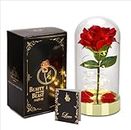 HOMESEASONS Glass Dome Red Rose Gift for Women Birthday Gift - Pre-Lit Red Velvet Rose in Glass Dome
