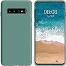 LOXXO® Samsung S10 Back Cover Crystal Clear Case, Soft TPU Thin Cover with Electroplated Edge Slim Case for Samsung Galaxy S10 (Forest Green Candy)