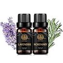 Aromaterapia Rosemary Essential Oil Set, 2X10ml 100% Pure Lavender Essential Oils Kit para Candle Making-Rosemary, Lavanda Aceites Esenciales Set, Aromaterapia Lavanda Aceites Set para ambientador