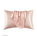2pcs Satin Pillow Cases, Solid Color Bedding, Silky Soft & Breathable Pillowcases With Envelope Closure, Smooth Pillow Cover For Living Room Sofa Bedroom Hotel Use, Without Pillow Filler