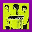 Don't Like You by Cheater Slicks (1995-08-01)