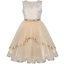 Sunny Fashion Flower Girls Dress Champagne Belted Wedding Party Bridesmaid Size 14 Years