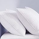 SASTTIE Pillows Standard Size 2 Pack, Premium Bed Pillows for Neck and Shoulder Pain, Down Alternative Soft and Supportive Sleeping Pillows for Side and Back Sleeper - Standard Size 20'' x 26''