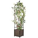 IronFun Raised Garden Bed Planter Box with Trellis for Climbing Plants Outdoor,63" Tomato Cage with Ties,Garden Obelisk Trellis for Indoor Potted Plants Vegetables Flower
